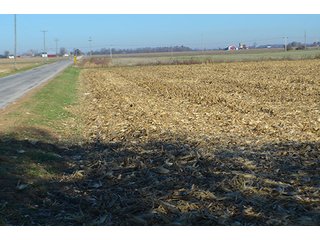 Tracts 4 & 5 - FARMLAND AUCTION - 165.5+/- ACRES OFFERED IN 5 TRACTS OR COMBINATIONS IN EAST ALLEN COUNTY